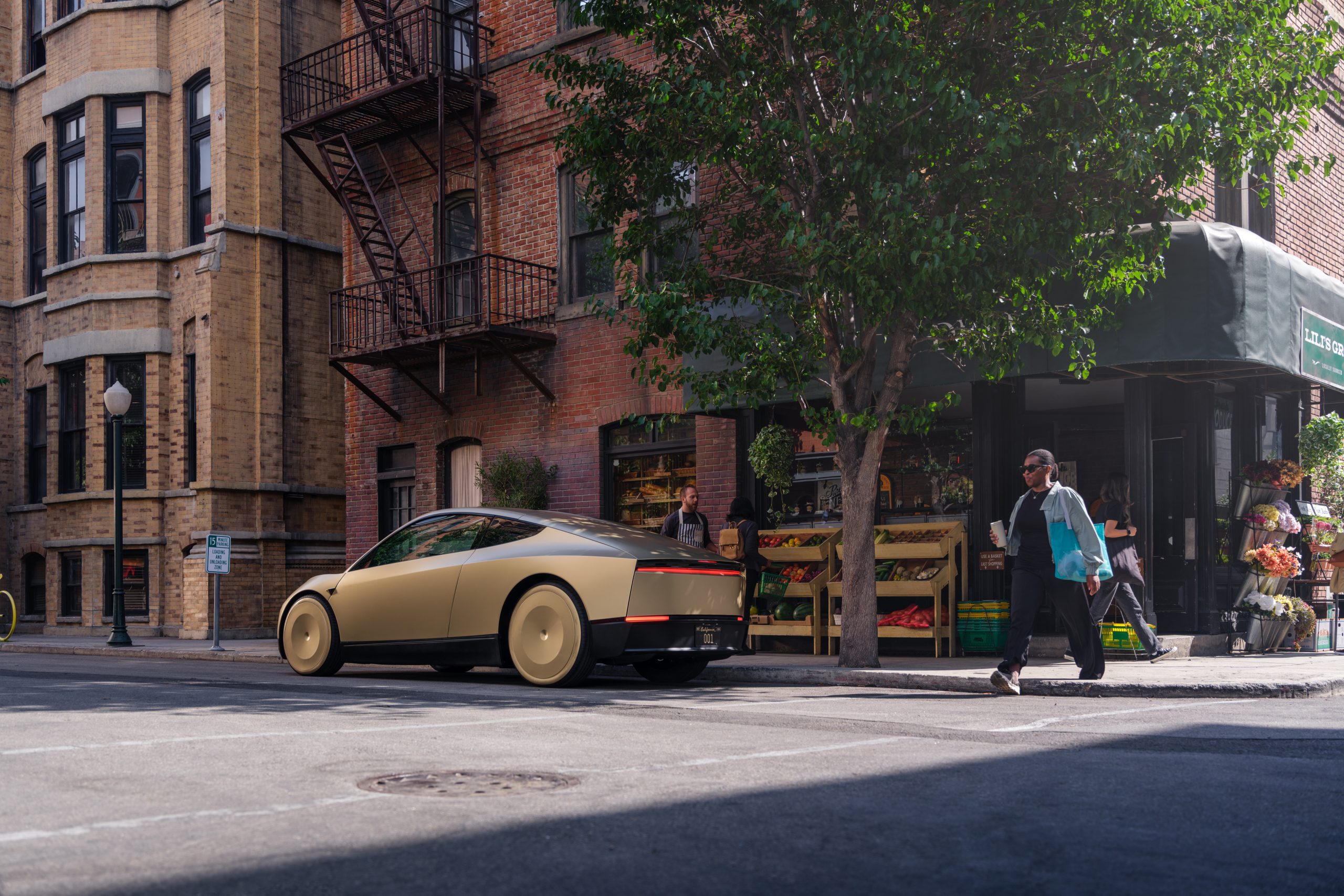tesla robotaxi